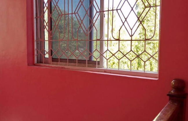 Greenery Bubble Apartment - Photo 1