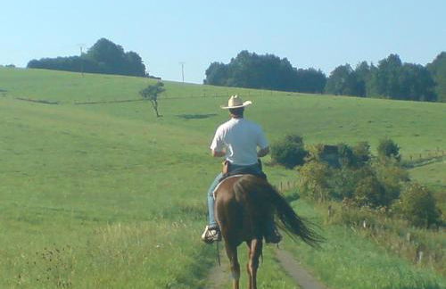 Riedwiesen - Foto 27