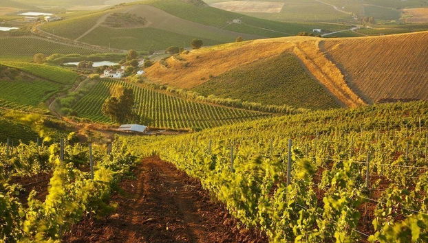 Agriturismo Tarantola - Foto 2, Imagen principal