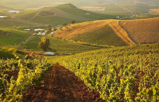 Agriturismo Tarantola - Foto 1