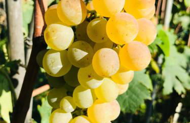 Rocca di Corno Guest House - Photo 60