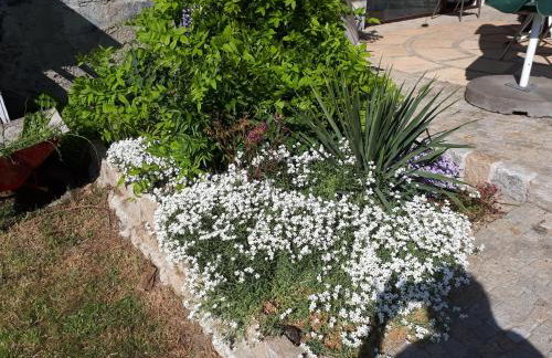 Agroturystyka "JAGAP" OAZA SPOKOJU - Foto 42