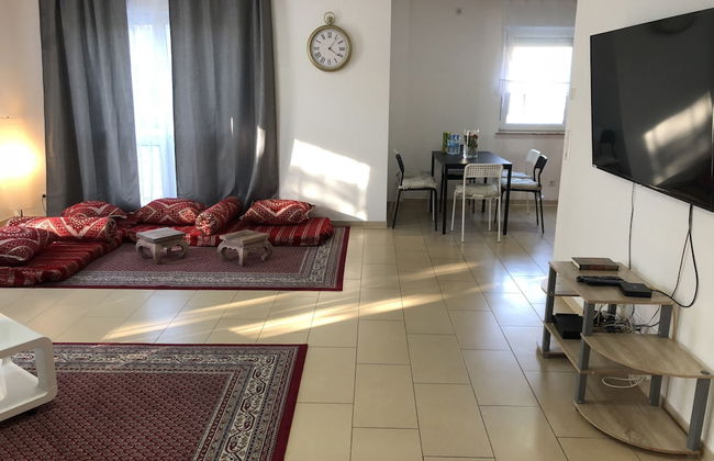 Sahara Falcon - Foto 7