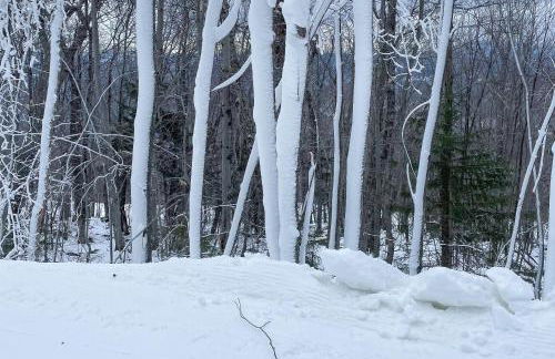 Kettle Brook A6 - Foto 12