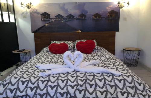 Aux portes de la Camargue studio balneo sauna et piscine - Foto 15