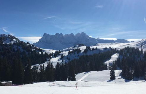 La Chaumiere - Luxury Traditional Chalet, Châtel - Foto 62