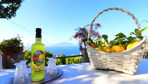 La Rosa Del Sud - De Vivo Realty Sorrento - Foto 5