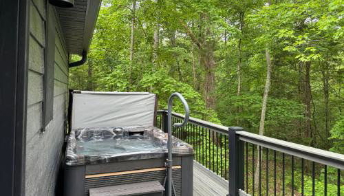 Modern 2BR Cabin w Hot Tub Near Carbondale - Foto 2