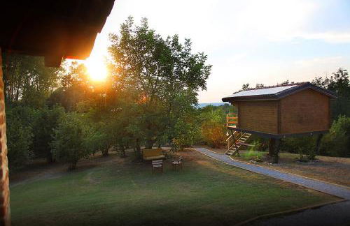 Ecolodge Langhe - Foto 42