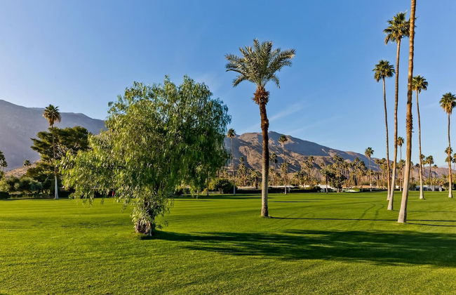 Indian Canyon Oasis in Palm Springs - Photo 79