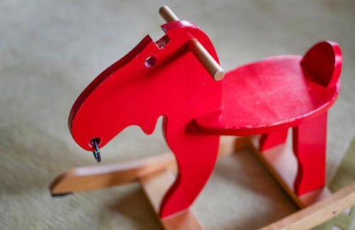 Guesthouse Niederschlag - Sauna & BBQ im Erzgebirge - Foto 23