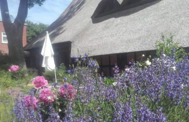 Apartment-unter-Reet - Foto 1