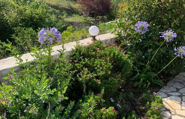 Villa in Afionas With Private Pool - Foto 7