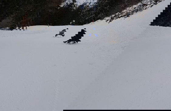 Ferienwohnung Fam. Leuner - Foto 44