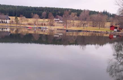 Blackjulie Ferienwohnung im Schwarzwald mit Balkon und Parkplatz ruhig - Foto 21