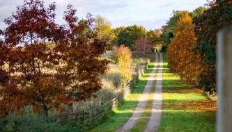 1 Bed in North Stainley oc-ds1075 - Foto 3, Other