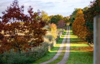 1 Bed in North Stainley oc-ds1075 - Foto 3