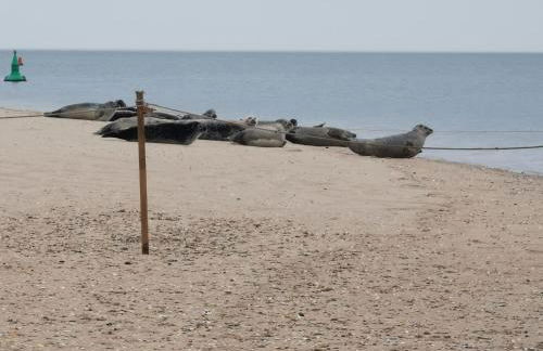 AnchorageWells Harbour Apartment - Foto 13