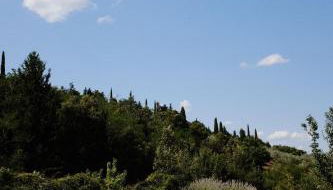 Fattoria San Donato - Foto 4