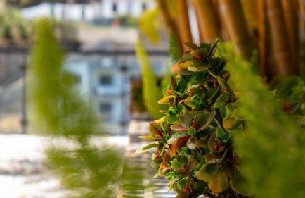 Villa Skylark - by LovelyStay - Foto 9