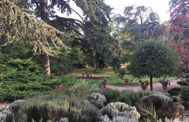 Domaine de La Thiau - Foto 38