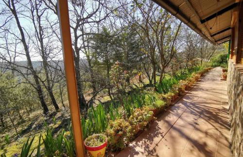 Casa Rural: La Casa Mágica de Gredos - Foto 28