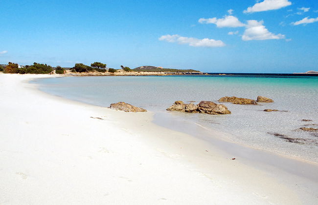 Bougainvillae Trilo - Foto 29