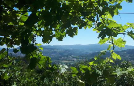 Quinta do Mirante - Foto 64