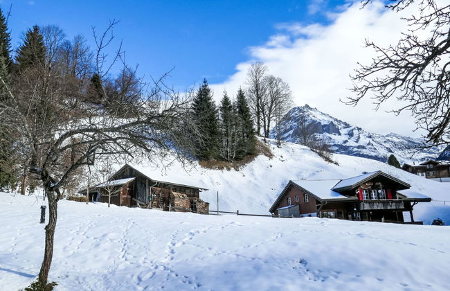 1 bedroom Apartment in Grindelwald with garden - Photo 16