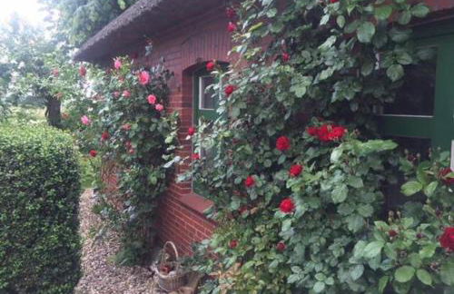 Reetdachhaus, Wilstermarsch - Foto 11