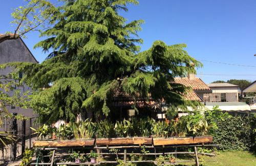 La Casina del Delta del Po - Foto 31