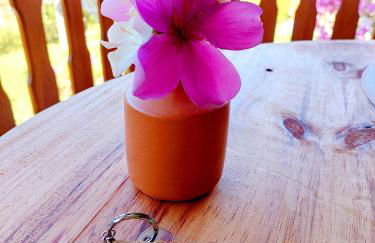 Casa Canto Verde - Foto 24