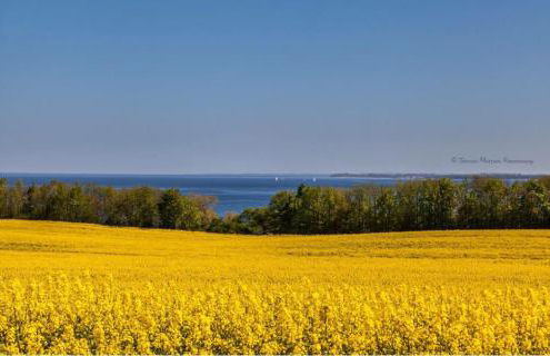 Ferienwohnung Düne mit Kamin und 2 Bädern in Boltenhagen - Foto 48