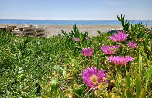 Vista Torre 2 - Foto 13