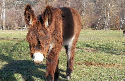 Apartament Ca La Nena - Photo 28