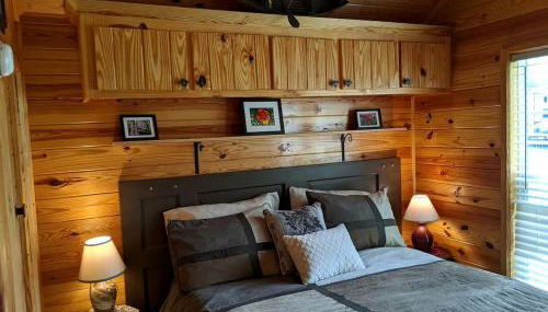 Rustic Cabin Rental near Asheville Perfect for a Weekend Getaway on Tuckasegee River - Foto 3