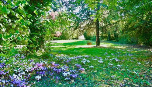 Demeure 13 personnes au Centre ville de Ruffec - Foto 5