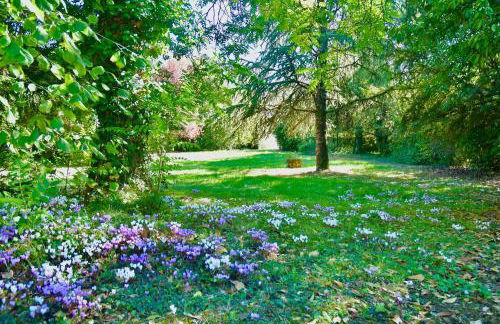 Demeure 13 personnes au Centre ville de Ruffec - Foto 5