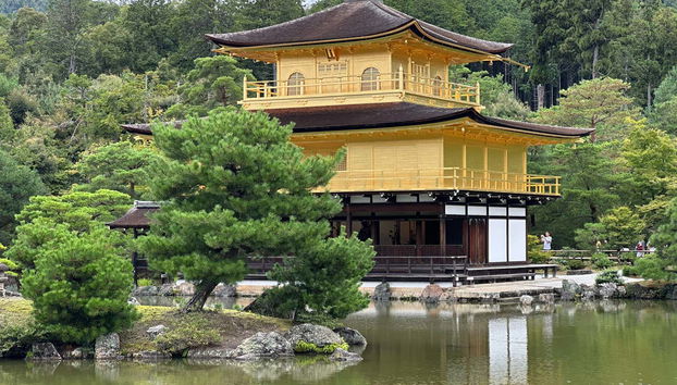 Tour completo por Kyoto com ingressos - Foto 2