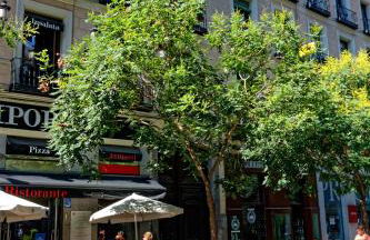 Arenal Suites Preciados - Photo 66