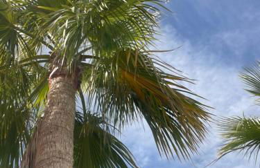 Iconic Alluba Alicante luxury bay - Photo 56