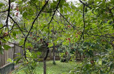 Świerkowe Ranczo Raciszewo - Foto 50