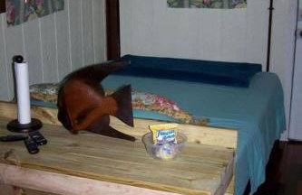 Cozy Tiny House in Tennessee Forest with Loft Beds & Country Breakfast - Foto 25