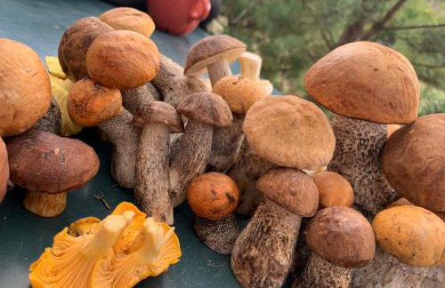 Dom Geografów - Foto 14