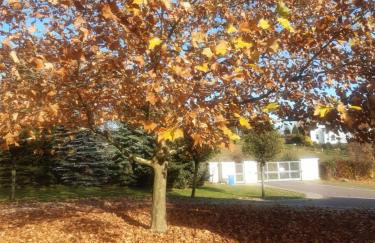 Rezydencja Pod Platanem - Photo 36