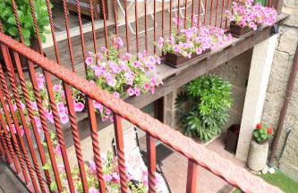 Aturuxo, Casa dos Mestres - Foto 62