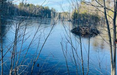 Golden Hill Oasis - Foto 8