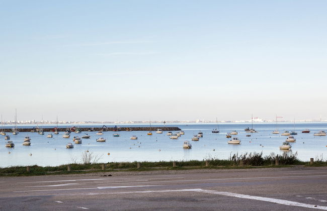 L'Oiseau Bleu - Foto 20