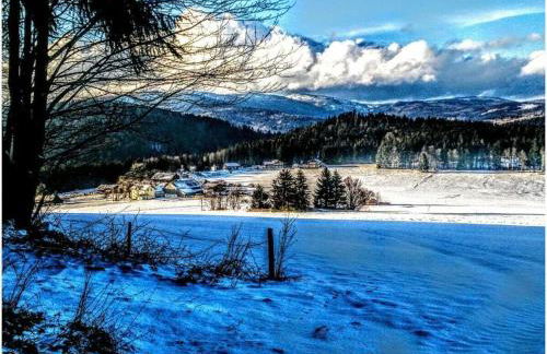 Anna Geißinger Comfortable holiday residence - Foto 7