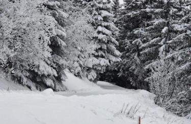 Chamrousse 1700 - Asters A03 - Rez de Jardin, Piscine, Sauna, Terrasse plein sud - Foto 7